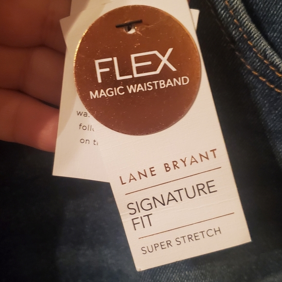 Lane Bryant Super Stretch Embellished Lace and Beads Jeans Size 24 - Picture 4 of 8